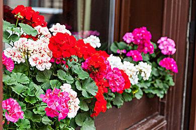 Arkane 25周年贺图公布《漫威刀锋战士》新形象